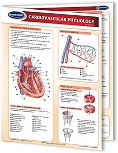 Cardiovascular Physiology - Biology - Medical Quick Reference Guide by Permacharts