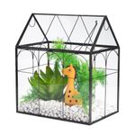 Window Garden Glass Terrarium with Lid - 9x11x6-Inch Indoor Greenhouse Plant Terrarium Decor Planter Dome - Terrarium Kit Tabletop Greenhouse - Plant Accessories Ideal Gift for Nature Lovers