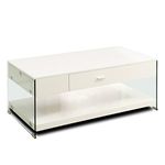 HOMES: Inside + Out IDF-4451WH-C Aleksander Coffee Table, White