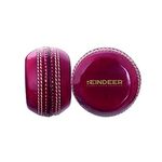 REINDEER Flat Seam Training Cricket Red Leather Flat Ball for Both Junior-Senior Cricket Players | Pack of 1 (150Gm-170Gm Each)