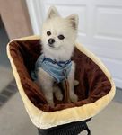 Dog Bike Basket, Rear Mount Bike Dog Carrier Strong & Secure, Padded Liner, Adjustable Safety Strap, Strong & Durable Steel Basket, Simple Install, Ideal Gift for Dog Lover.