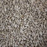 Trusty® Pet Supplies Wild Bird Sunflower Hearts 10kg