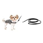 PetSafe Easy Walk Dog Harness, Petite/Small, Black/Silver + PetSafe Nylon Leash, 3/8-Inch X 6-Feet, Black