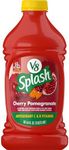 V8 Splash 