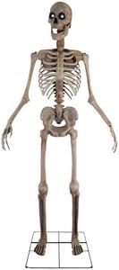 Haunted Hill Farm Motion-Activated 8-Ft. Tall Towering Skeleton, Plug-in Talking Scare Prop Animatronic for Indoor or Covered Outdoor Creepy Halloween Decoration