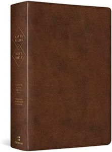 ESV Spanish/English Parallel Bible (La Santa Biblia RVR / The Holy Bible ESV, TruTone, Brown) (English and Spanish Edition)