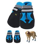 Dog Paw Protectors