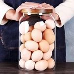 SAIOOL Egg Jar,kitchen canister， 1 