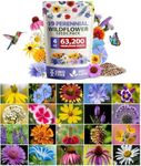 HOME GROWN 120,000+ Wildflower Seeds Bulk: (4oz) Perennial Wild Flower Seeds for Planting - Butterfly Garden Seeds for Attracting Birds & Bees - 25 Variety