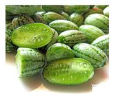 PREMIER SEEDS DIRECT - CUCAMELON - 65 FINEST SEEDS