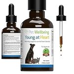 Pet Wellbeing Young at Heart for Cats - Vet-Formulated - Supports Cardiovascular System | Heart & Circulatory Health - Natural Herbal Supplement 2 oz (59 ml)