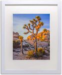 A-Plus White Wooden 20”x24” Picture Frame with Tempered Glass for Photo Size 16”x20”, Horizontal/Vertical Display