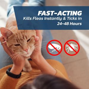 FleaSolve Cat Flea Treatment, 6-Pack – Fast-Acting Flea Control