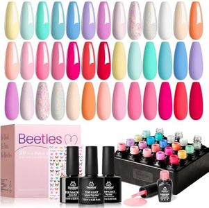 Beetles Pa