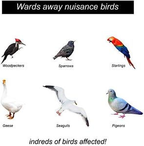 Slide 5