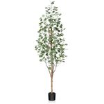 OAKRED Artificial Eucalyptus Tree 6ft, Tall Fake Tree with Natural Wood Trunk and Realistic Silver Dollar Leaves, Silk Faux Eucalyptus Artificial Plants for Indoor Home Decor Office Living Room