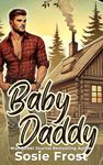 Baby Daddy: A Single Daddy Romance (Payne Brothers Romance Book 1)