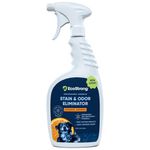 Orange Odor Eliminator | Pet Odor Deodorizer for Strong Odor | Enzyme Stain Cleaner for Cats, Dogs, and Pets | Great for Carpets, Furniture, Dog Kennels, and More (32 Fl Oz)