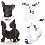 BLIND DOG (Dog Has Limited/No Sight) White Colour Coded Non-Pull Front and Back D Ring Padded and Waterproof Vest Dog Harness PREVENTS Accidents By Warning Others Of Your Dog In Advance (M)