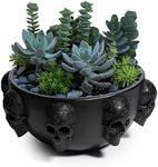 GUTE Large Skull Planter Bowl - 6" Deep Black Polyresin Skeleton Pot for Succulents, Indoor & Outdoor Plants, Decorative Flower Serving Bowl - Unique Home Décor