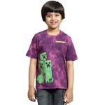 Kidsville Minecraft Printed Regular Fit Multicolor Cotton Boy's T-Shirt