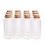 Danmu Art 30ml 30mm x 70mm Mini Glass Bottles Jars with Wood Cork Stoppers Small Glass Bottles Halloween Decorations(12PCS)