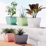 Kemendra® 6 inch Plant Pots with Drainage Holes and Tray Saucers 5 Pack Flower Pots Outdoor Indoor - Ideal for Indoor Plants, Succulents, and Small Pots for Plants (Square LINE, Pack 5)