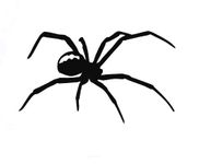 Black Widow Spider Decal Vinyl Sticker|Cars Trucks Vans Walls Laptop| Black|5.5 x 3.3 in|DUC740