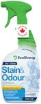 Enzyme Cleaner for Pets | Made in Canada | Pet Odor Eliminator and Powerful Probiotic Enzyme Cleaner for Cat Urine, Dog Pee, Pet Messes [946 mL Citrus Scent]
