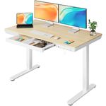 ErGear Electric Standing Desk, 120 x 60cm Height Adjustable Standing Desk with Drawer & 2 Charging Ports, 3 Memory Standing Up Desk for Home Office (Natural Top+White Frame)
