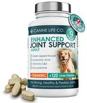 Enhanced Adult Dog Joint Supplements With Turmeric, Glucosamine & Green Lipped Mussel | 120 Chewable Tablets | Made In The UK (1 Pot (120 Tablets))