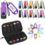 10 Pack Flash Drives Zip Drives with Lanyards, Key Tags and Storage Case Metal USB 2.0 Thumb Drives Multi Pack Bulk Swivel Memory Colorful Portable Keychain for Data Storage (64GB)