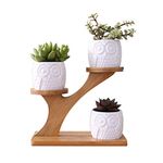 Ceramic Planter with Wood Stand, Succulent Container Planter Outdoor Indoor Plant Pots with Drainage Holes, Creative Owl Style