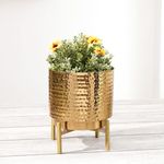 BEHOMA Hammered Metal Indoor Planter for Table Top and Floor | Living Room Drawing Room Balcony Office | Decoration Ideas for Plants |Size Medium Golden Colour (Plants not Included)