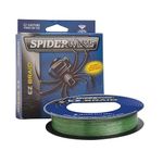 Spiderwire EZ Braid - 300 Yards 15 lb