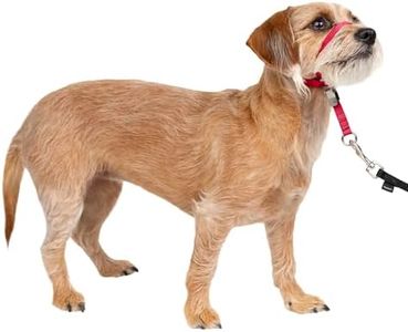 PetSafe Gentle Leader No-Pull Dog Headcollar - The Ultimate Solution to Pulling - Redirects Your Dog's Pulling for Easier Walks - Helps You Regain Control - Small, Red