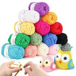 YINVA Crochet Yarn Acrylic Yarn Knitting Wool 15Pcs x 25g Crochet Wool 70M Crochet Kits for Beginners Adults Wool for Crochet Knitting and Crafts Multi-Color