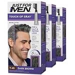 Just For Men Touch of Gray, Mens Ha