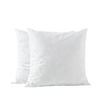 basic home 18x18 Pillow Inserts-Shr