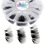 Pre Made Fan Volume Eyelash Extensions 20D 0.07mm D Curl 500 Fans 9-16mm Mixed Tray Premade Fans Loose Volume Lash Extensions Handmade Promade Loose Fans Lash(500-20D-0.07-D-916)