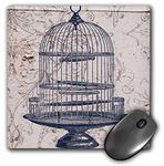 3dRose 8 X 8 X 0.25 Vintage Round Bird Cage Steampunk Art Mouse Pad (mp_110263_1)