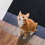 Cat Carpet Protector for Doorway, Carpet Protector for Pets, Cat Scratch Guard Carpet - 5.24FT Clear Heavy Duty Non-Slip Plastic Carpet Protector for Pets