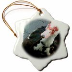 3dRose Mikey the Muscovy Snowflake Ornament, Multi-Colour, 3-Inch