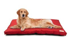 KIBBO Waterproof Flat Bed for Dogs and Cats | Detachable Cover & Washable Dog Bed | Lighweight Design with Anti-Skid Base | for Large Breed | Red