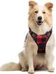 rabbitgoo Dog Harness, No-Pull Pet 