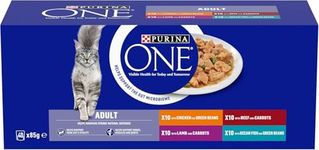 PURINA ONE Mini Fillets Mixed Selection in Gravy Wet Cat Food 40x85g