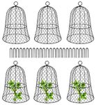 ZeJlo Plant Protectors from Animals, (6 Packs) 12.6" Diameter x 16.5" Height Garden Chicken Wire Cloche, Sturdy Metal Cage Garden Protection for Your Plants and Seedlings, No Assembly Required, Black