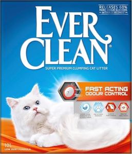 Ever Clean
