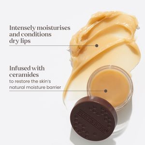 Burt's Bees Lip Mask – Hydrating Treatment, 7.08g