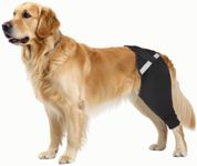 Dog Rear Leg Sleeve to Stop Licking, Upgraded Hind Leg Cover to Stop Slipping, for TPLO Surgery, Skin Conditions, Wounds, Breathable Soft Fabric, Dog Cone Alternative, Right, XL, Black